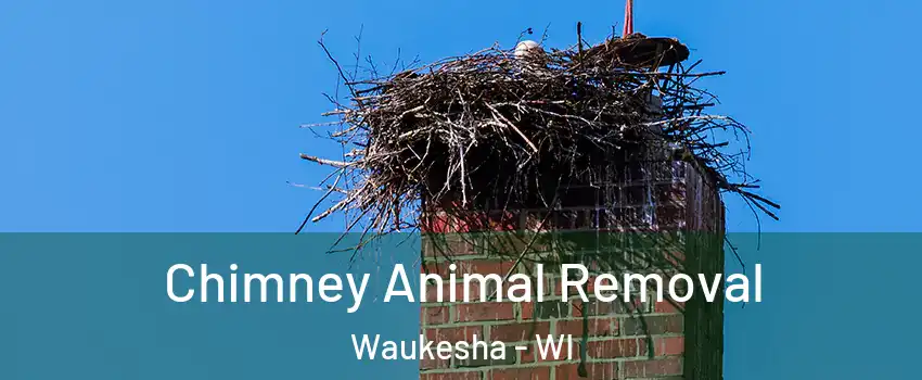  Chimney Animal Removal Waukesha - WI