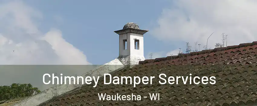  Chimney Damper Services Waukesha - WI