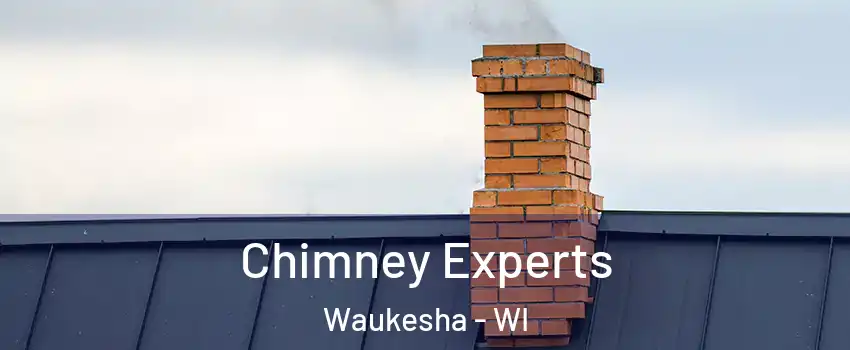 Chimney Experts Waukesha - WI