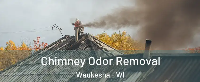  Chimney Odor Removal Waukesha - WI