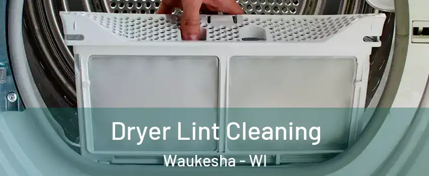  Dryer Lint Cleaning Waukesha - WI