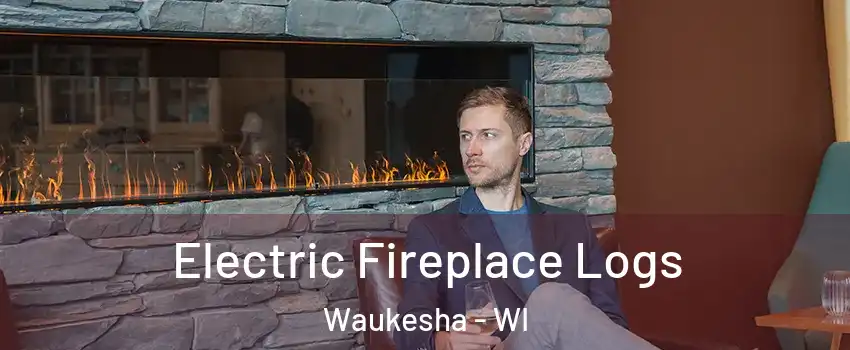  Electric Fireplace Logs Waukesha - WI