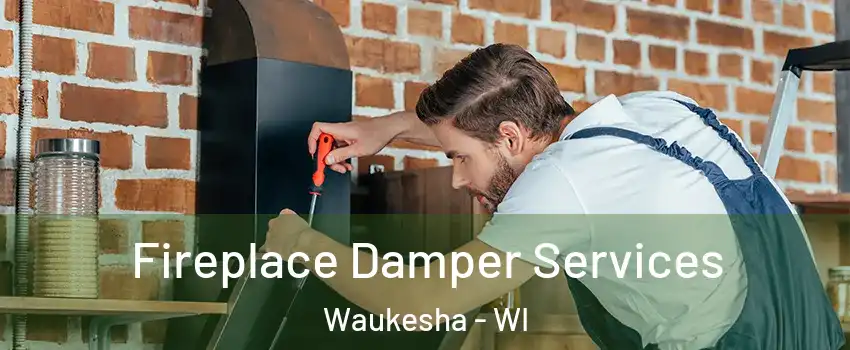  Fireplace Damper Services Waukesha - WI