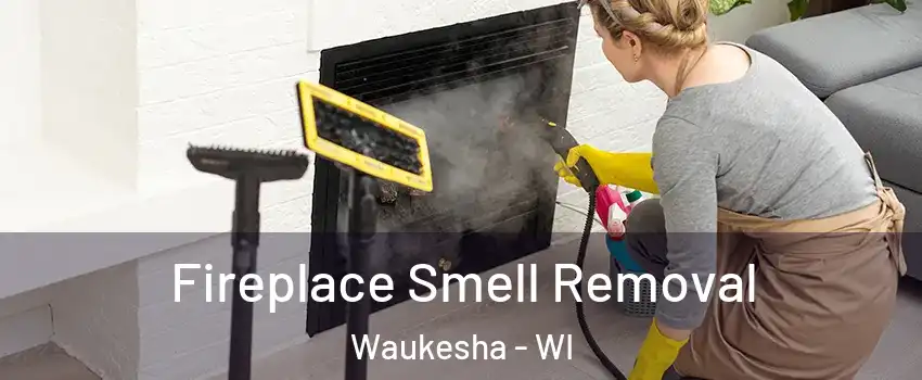  Fireplace Smell Removal Waukesha - WI