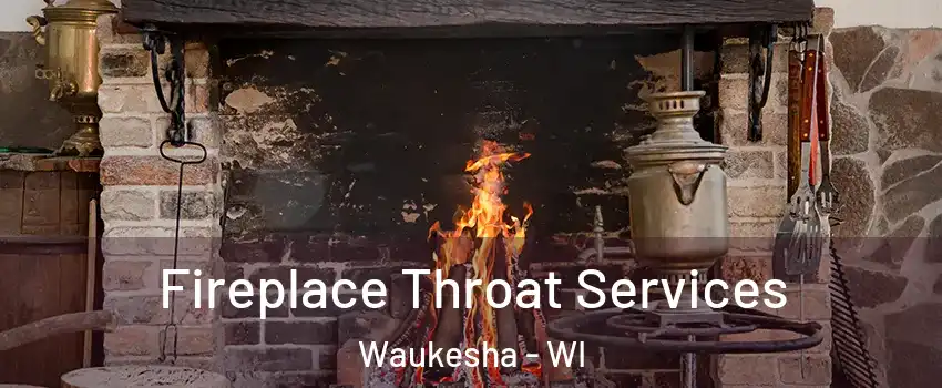  Fireplace Throat Services Waukesha - WI