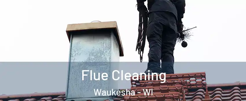 Flue Cleaning Waukesha - WI