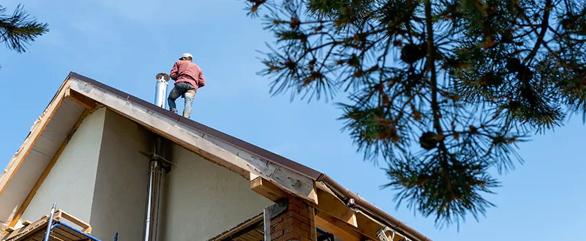 Birds Removal Contractors from Chimney in Waukesha, WI