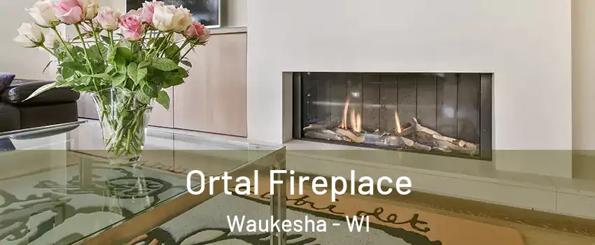 Ortal Fireplace Waukesha - WI