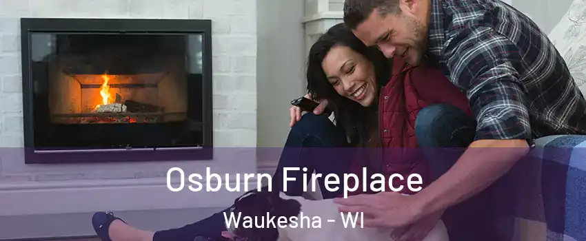  Osburn Fireplace Waukesha - WI